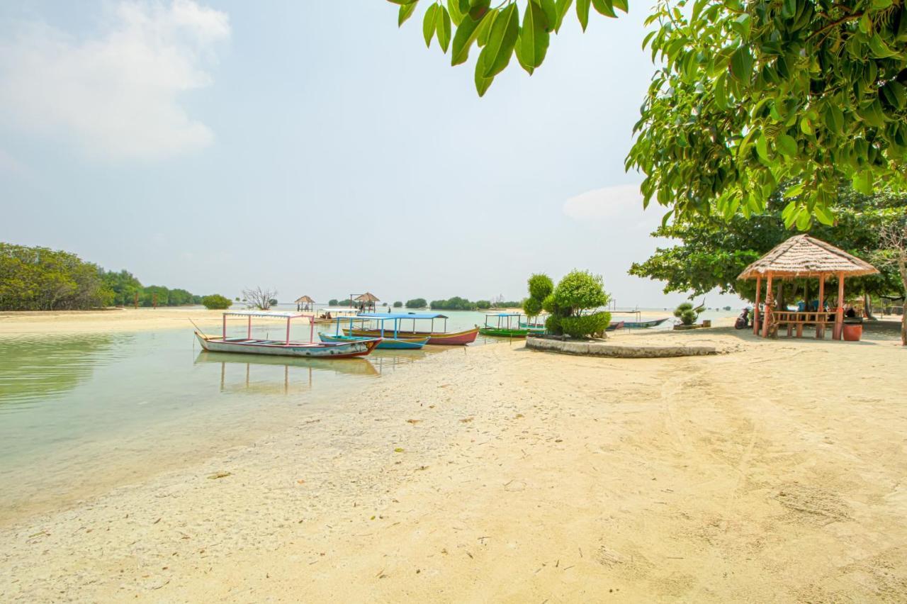 Guerilla Dive Lodge Pulau Pari Giacarta Esterno foto